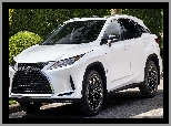 Lexus RX Moonlight Edition